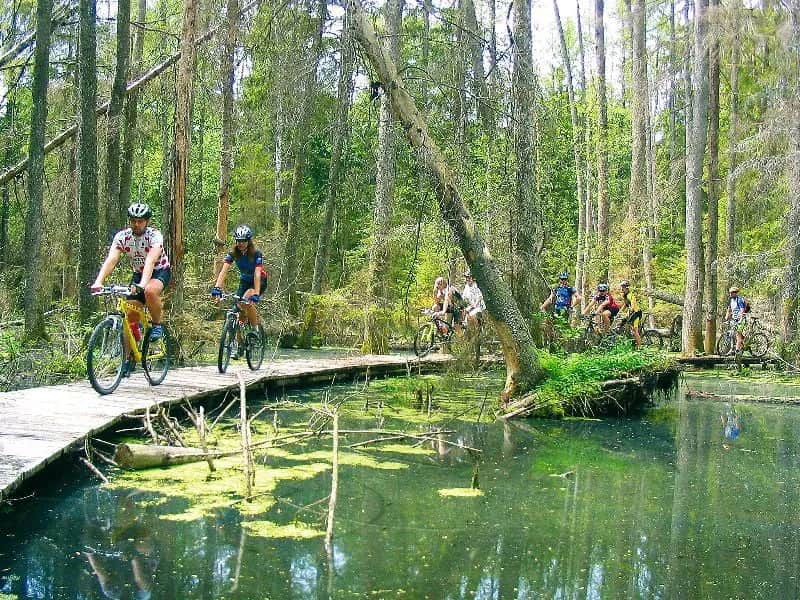 Biebrzański Park Narodowy: najlepsze trasy rowerowe i ich atrakcje