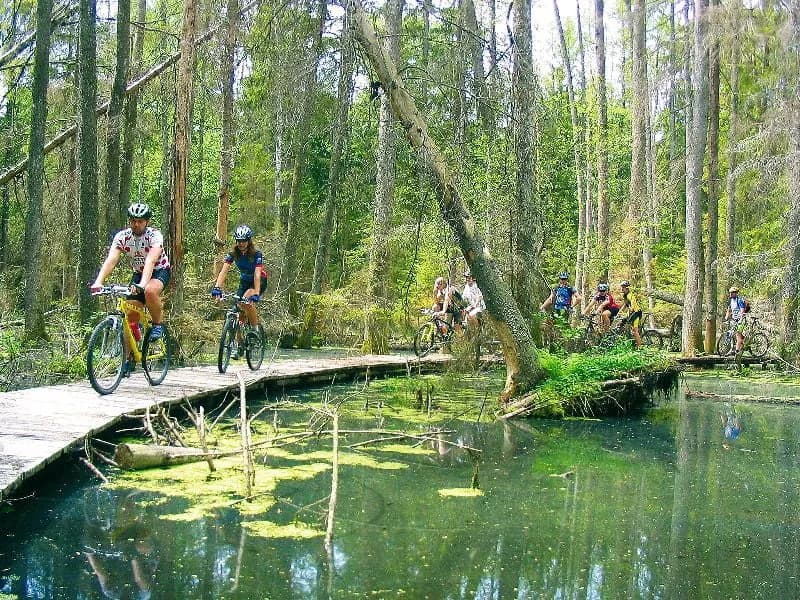 Biebrzański Park Narodowy: najlepsze trasy rowerowe i ich atrakcje