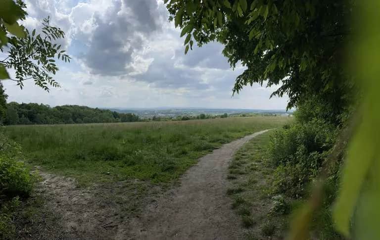 Las Wolski trasy rowerowe - odkryj różnorodność i piękno tras